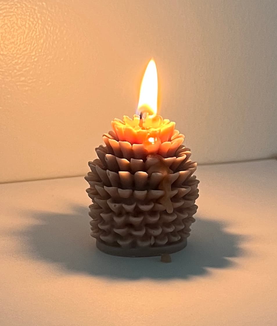 A customer’s lit pine cone candle